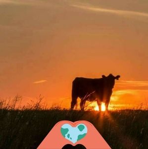 Meet your Posher, Janice